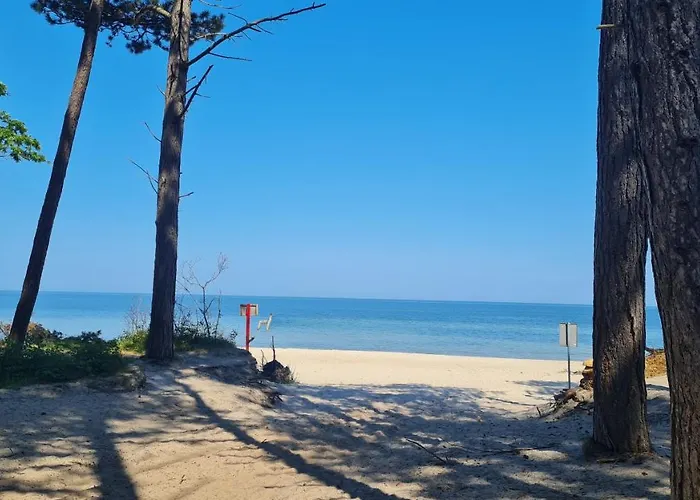 Sewi Komfortowe W Rusinowie